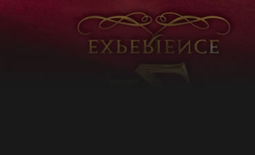 Mary Morrissey's 12+ Experience Logo